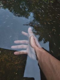 Low section of person in lake