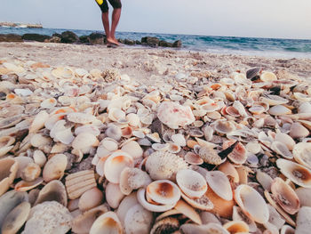 Low section of person on pebbles at beach