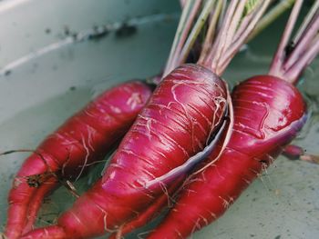 High angle view of red chili peppers on table