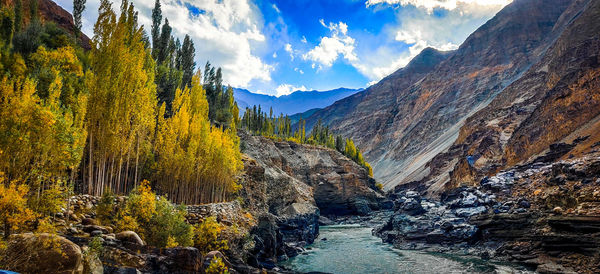 scenics - nature