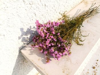 Close-up of flowers against blurred background