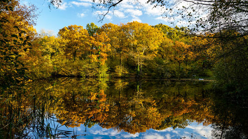 Reflection of trees on lake during autumn