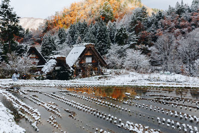 Snow covered plants by building against sky during winter