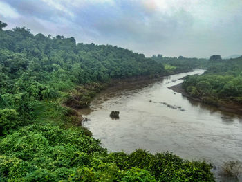 View of river amidst plants against sky