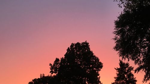 Low angle view of silhouette trees against clear sky