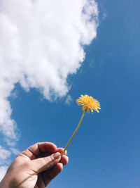 Cropped hand holding dandelion against sky