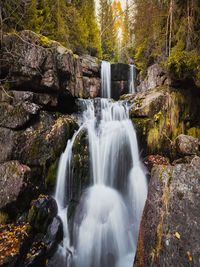 Scenic view of waterfall in forest