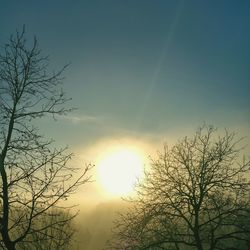 Low angle view of bare trees against sky