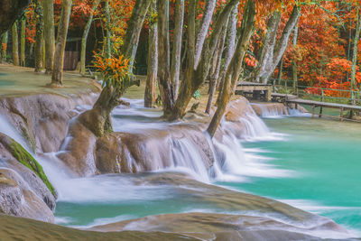 Wonder tad sae waterfalls at luang prabang, laos. waterfall in rain forest.