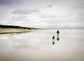 Person and dog walking on beach against sky