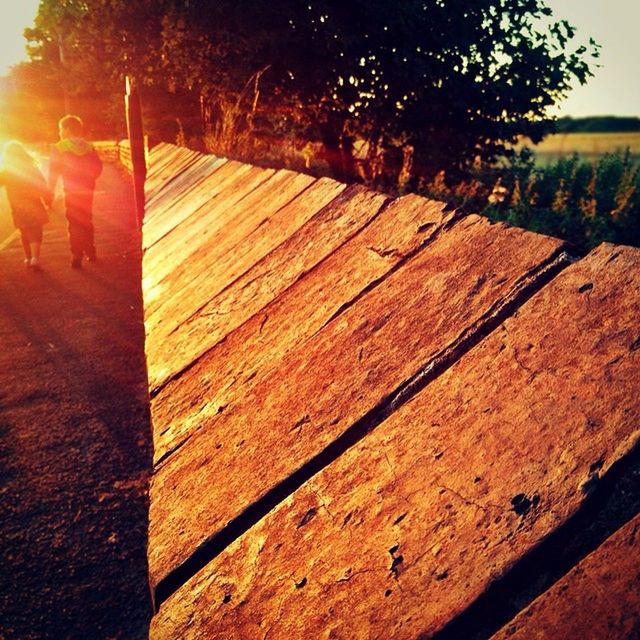 tree, sunlight, wood - material, fence, built structure, shadow, wooden, grass, nature, field, outdoors, tranquility, sunset, architecture, bench, no people, day, growth, landscape, building exterior