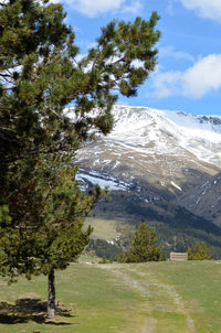 Scenic view of landscape against sky