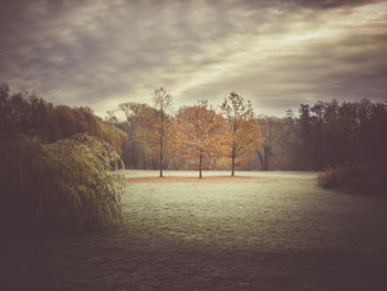 Scenic view of field against sky during autumn