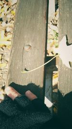 Close-up of hand feeding on wood