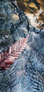 High angle view of rocks on shore