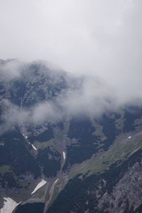 environment