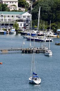 Sailboats moored in harbor