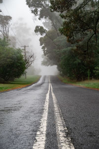 Surface level of road amidst trees