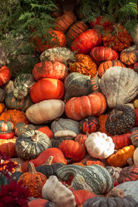 High angle view of pumpkins in market