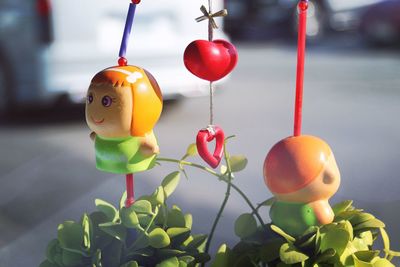 Close-up of fruits hanging