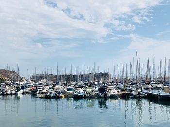 Boats moored in harbor