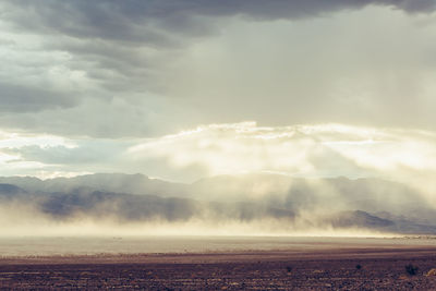 Scenic view of foggy field against sky