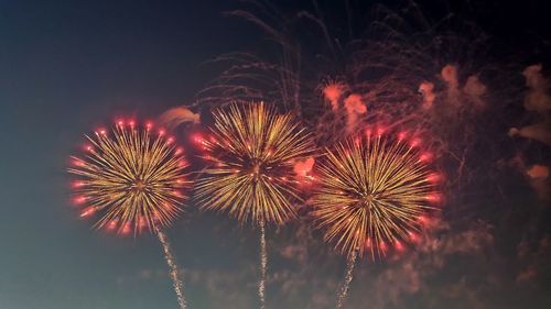 Low angle view of firework display at night