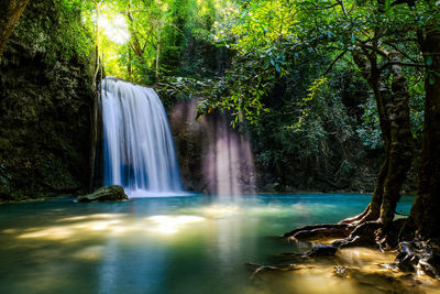 Scenic view of waterfall in forest