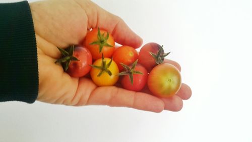 Cropped image of person holding fruits against white background