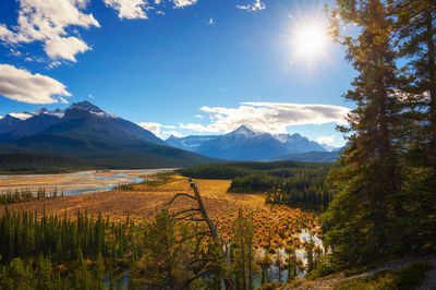 Scenic view of landscape against sky