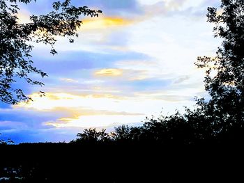 Low angle view of silhouette trees against sky