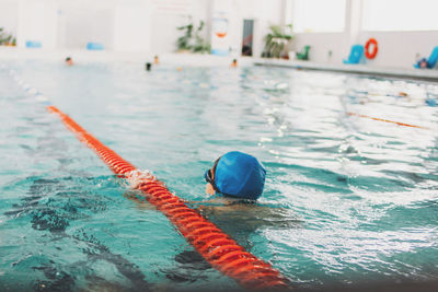 Close-up of fish swimming in pool