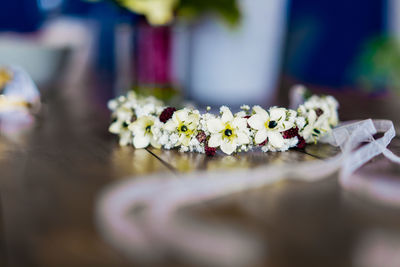 Close-up of plant on white table