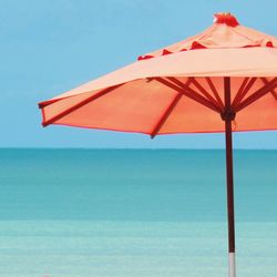 Coral parasol against sea