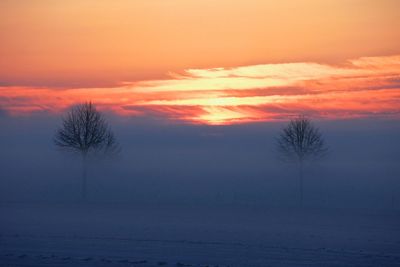 Silhouette bare trees against sky during sunset