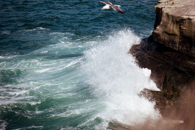 Waves splashing on rocks. pacific ocean rocky beach