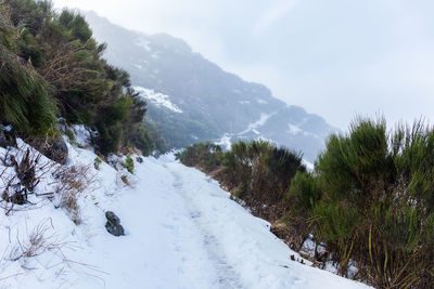 Overview of pico ruivo footpath covered with snow in santana, madeira island