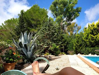 Low section of women relaxing by swimming pool against sky