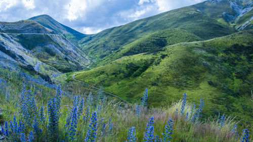 Panoramic view of landscape against sky