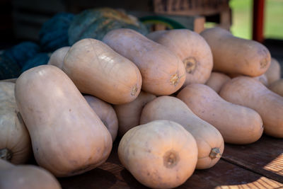 Close-up of pumpkins for sale in market