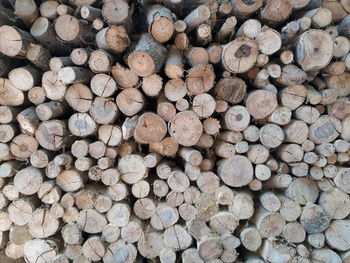 Full frame shot of logs in forest