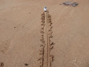 High angle view of footprints on sand at beach