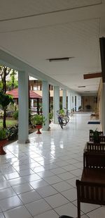 Potted plants on table by building