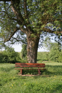 Bench in park against sky