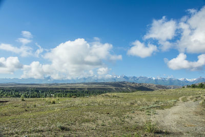 Scenic view of field against sky