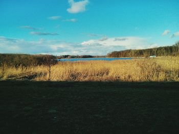 Scenic view of landscape against blue sky