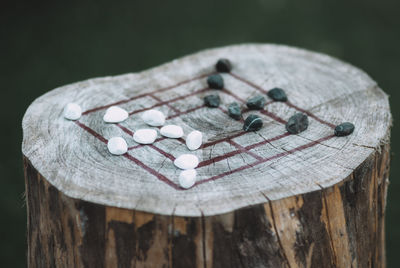 Close-up of wood on table