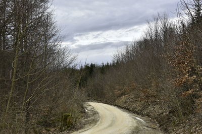 Empty road amidst trees against sky