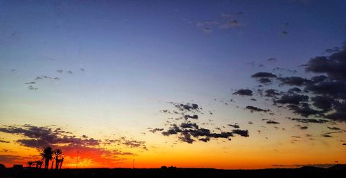 Silhouette trees on landscape against sky at sunset