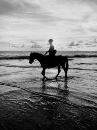 Man riding horse on beach against sky